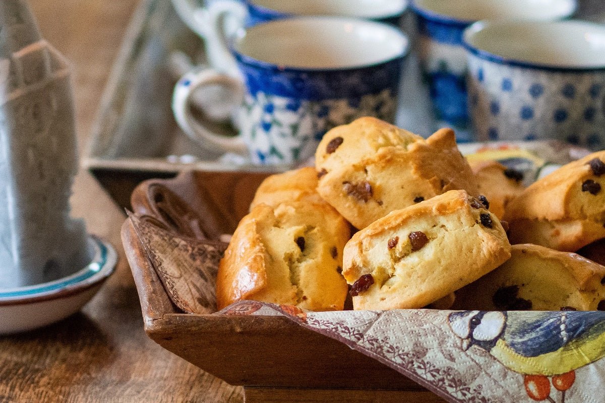 Olive Oil Scones with Dark Chocolate, Cherry, & Orange - Texas Hill Country Olive Co.