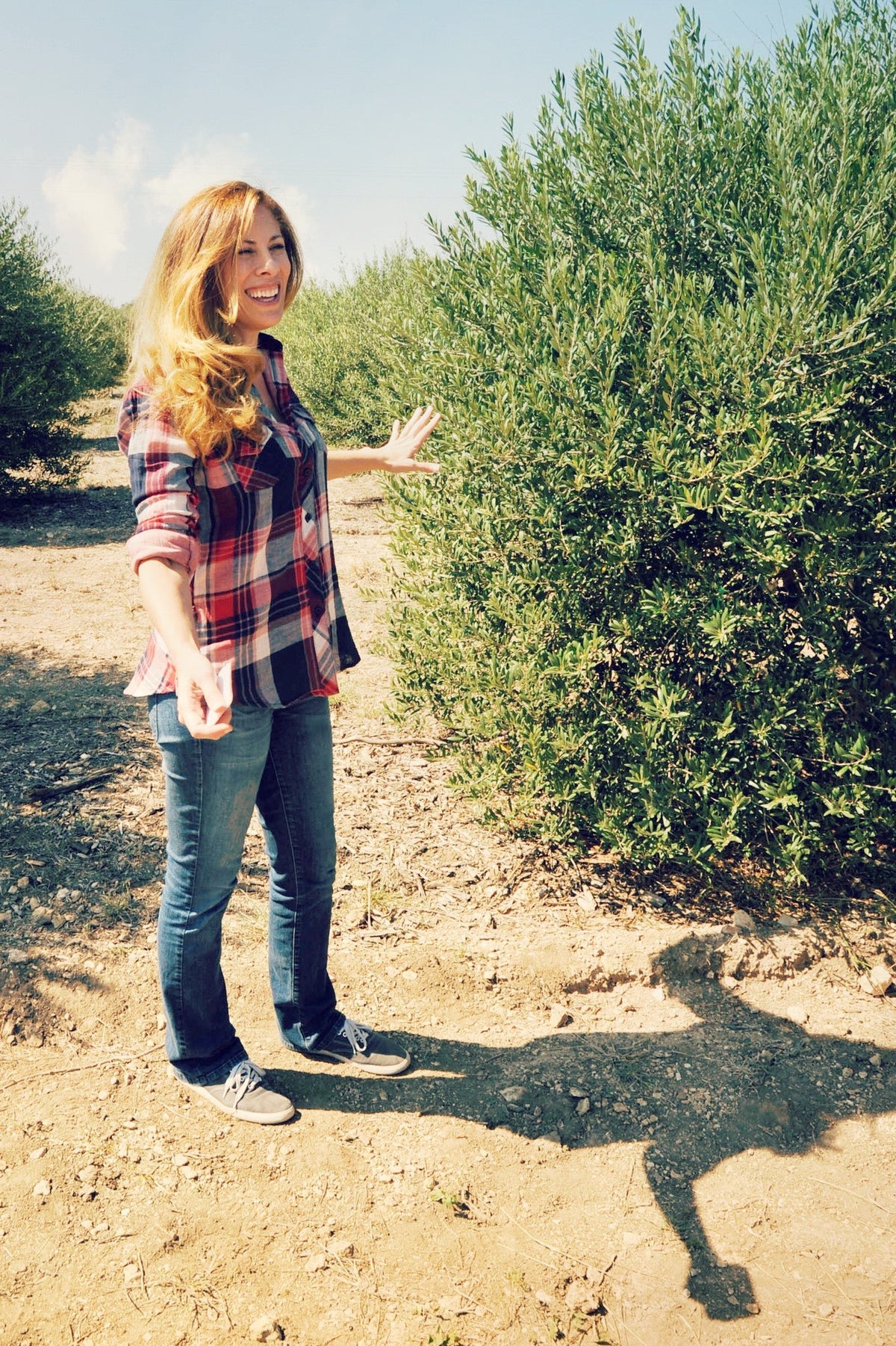 Road Trippin to Dripping! - Texas Hill Country Olive Co.