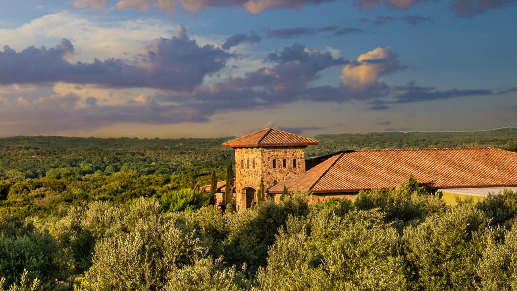 米国産オリーブオイル4点TEXAS HILL COUNTRY OLIVE CO. About Us – Texas Hill Country Olive Co.