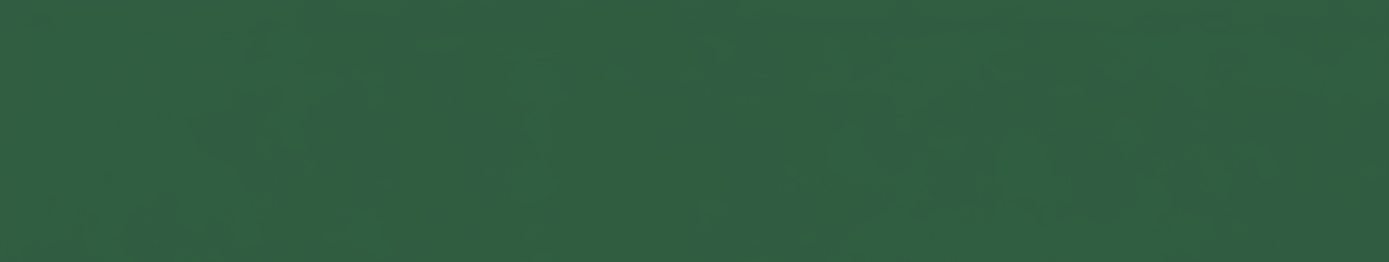 Create a background image that is 1200 x 400 px dimensions. Background color is #225d2e. 