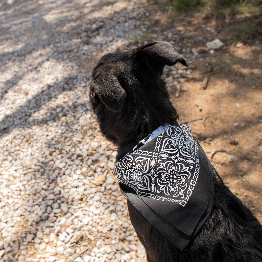 Texas Hill Country Olive Co. Bandana - Black preview 4