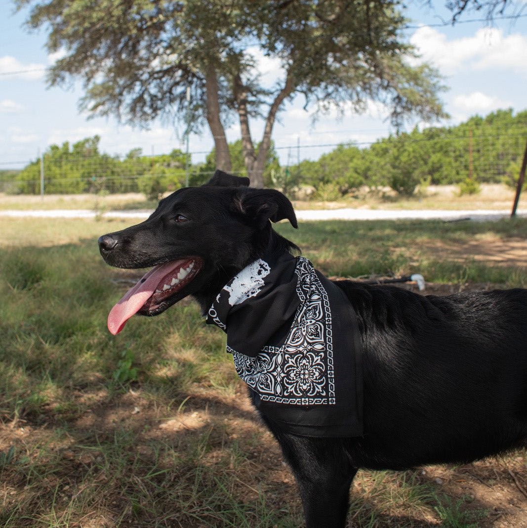 Texas Hill Country Olive Co. Bandana - Black preview 3