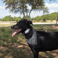 Texas Hill Country Olive Co. Bandana - Black Thumbnail 3